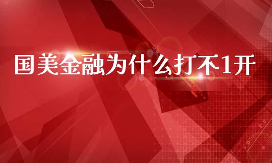 国美金融为什么打不1开_https://www.apanben.com_国际期货_第1张