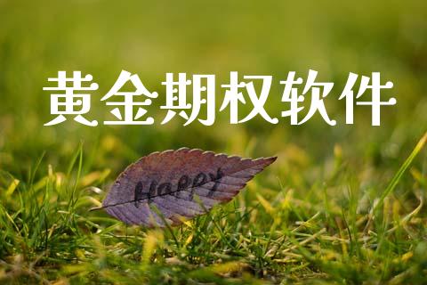 黄金期权软件_https://www.apanben.com_国际财经_第1张
