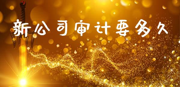 新公司审计要多久_https://www.apanben.com_股票怎么玩_第1张