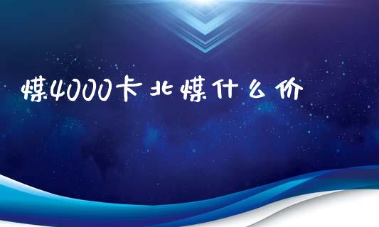 煤4000卡北煤什么价_https://www.apanben.com_股市指导_第1张