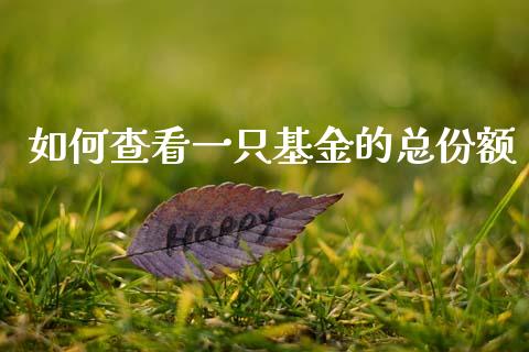 如何查看一只基金的总份额_https://www.apanben.com_财经资讯_第1张