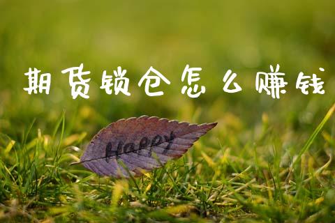 期货锁仓怎么赚钱_https://www.apanben.com_财经资讯_第1张