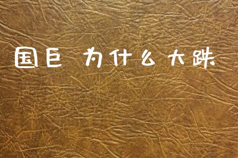 国巨 为什么大跌_https://www.apanben.com_期货学院_第1张