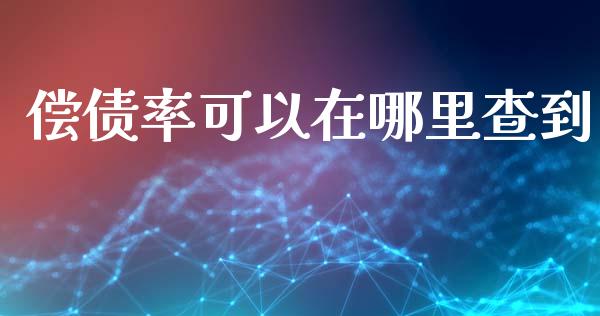 偿债率可以在哪里查到_https://www.apanben.com_期货学院_第1张