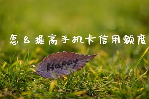 怎么提高手机卡信用额度_https://www.apanben.com_期货学院_第1张