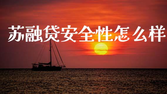 苏融贷安全性怎么样_https://www.apanben.com_国际财经_第1张