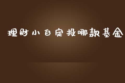 理财小白定投哪款基金_https://www.apanben.com_财经资讯_第1张
