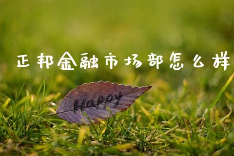 正邦金融市场部怎么样_https://www.apanben.com_财经资讯_第1张