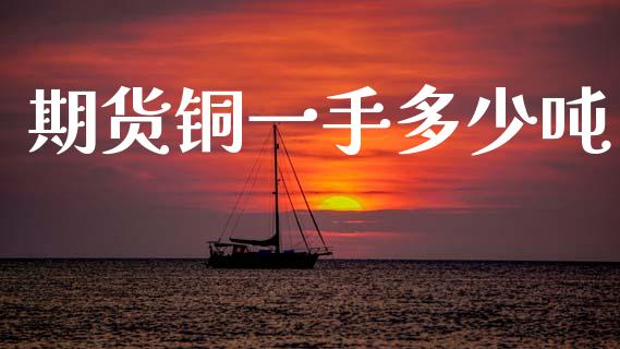 期货铜一手多少吨_https://www.apanben.com_股票怎么玩_第1张