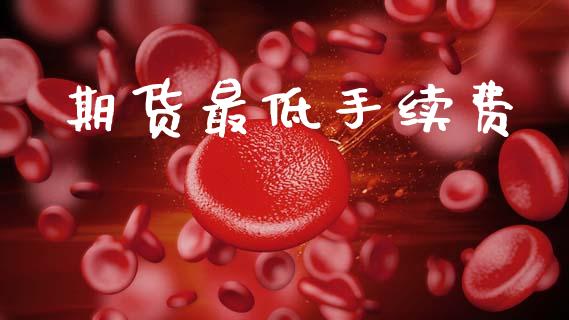 期货最低手续费_https://www.apanben.com_股票怎么玩_第1张