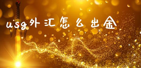 usg外汇怎么出金_https://www.apanben.com_国际期货_第1张