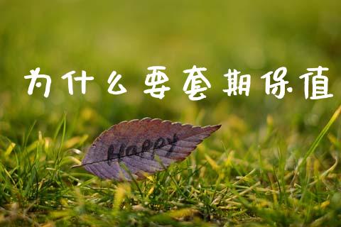 为什么要套期保值_https://www.apanben.com_股市指导_第1张