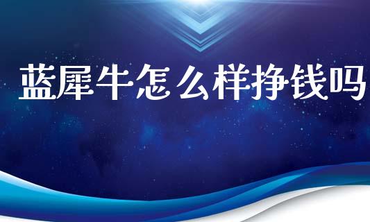 蓝犀牛怎么样挣钱吗_https://www.apanben.com_股市指导_第1张