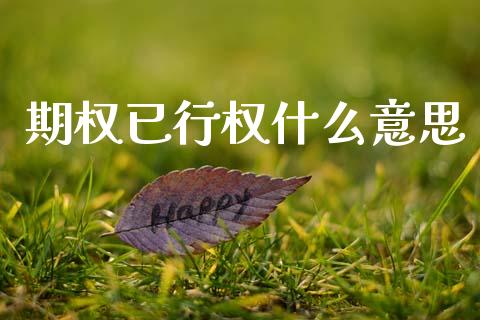 期权已行权什么意思_https://www.apanben.com_股票怎么玩_第1张