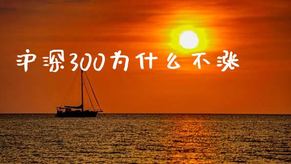 沪深300为什么不涨_https://www.apanben.com_财经资讯_第1张