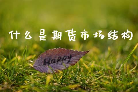 什么是期货市场结构_https://www.apanben.com_在线喊单_第1张