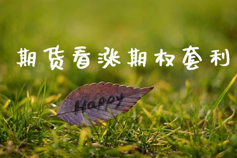期货看涨期权套利_https://www.apanben.com_期货学院_第1张