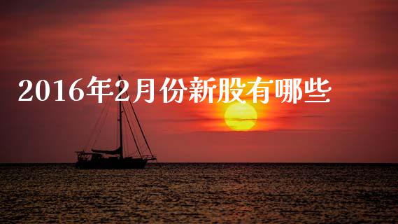 2016年2月份新股有哪些_https://www.apanben.com_股市指导_第1张