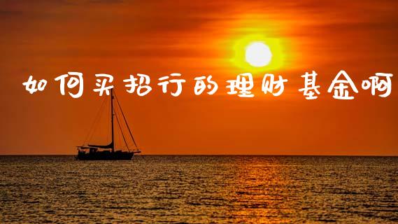 如何买招行的理财基金啊_https://www.apanben.com_财经资讯_第1张