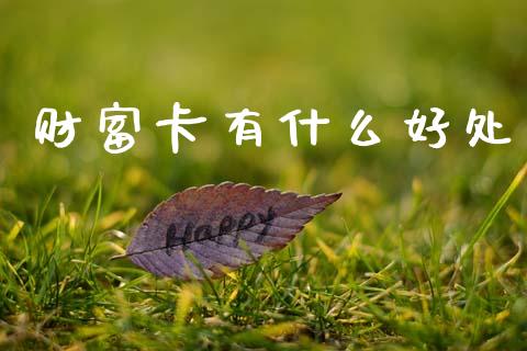 财富卡有什么好处_https://www.apanben.com_股市分析_第1张