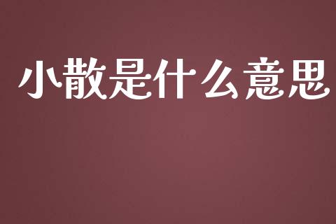 小散是什么意思_https://www.apanben.com_财经资讯_第1张