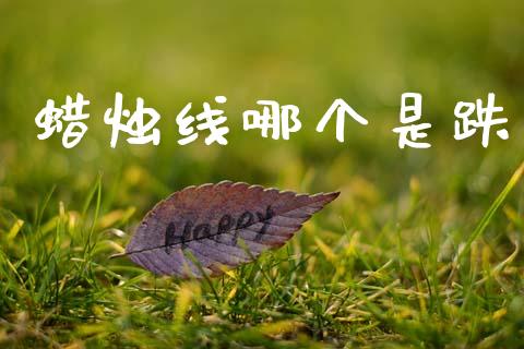 蜡烛线哪个是跌_https://www.apanben.com_在线喊单_第1张