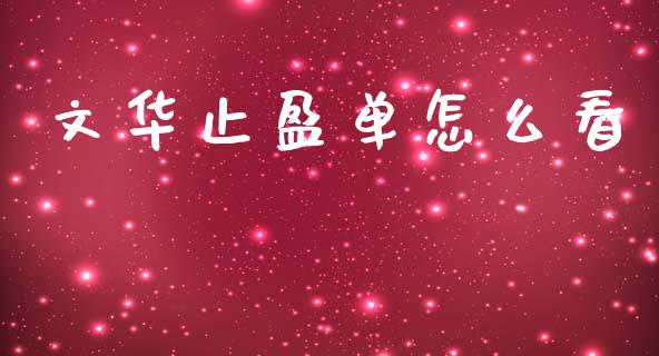 文华止盈单怎么看_https://www.apanben.com_期货学院_第1张