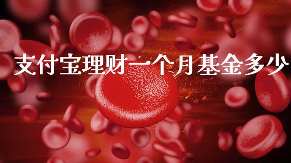 支付宝理财一个月基金多少_https://www.apanben.com_国际财经_第1张