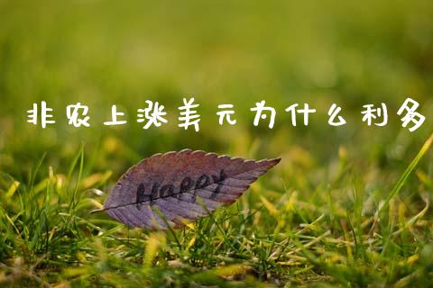 非农上涨美元为什么利多_https://www.apanben.com_股市分析_第1张
