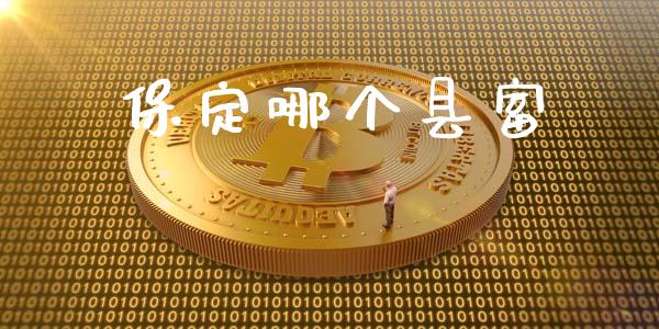 保定哪个县富_https://www.apanben.com_股市指导_第1张