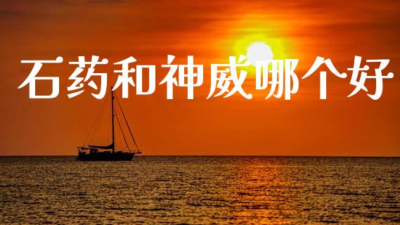 石药和神威哪个好_https://www.apanben.com_期货学院_第1张