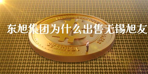 东旭集团为什么出售无锡旭友_https://www.apanben.com_股票怎么玩_第1张
