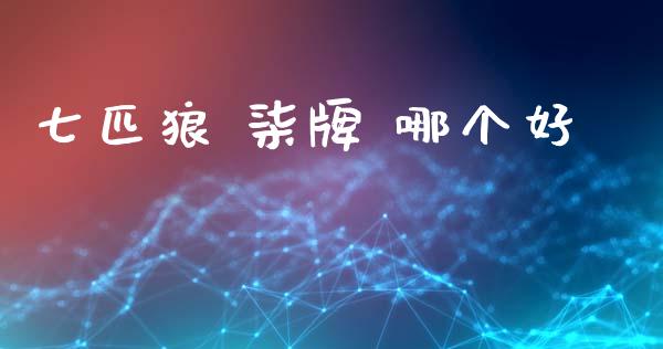 七匹狼 柒牌 哪个好_https://www.apanben.com_股市分析_第1张