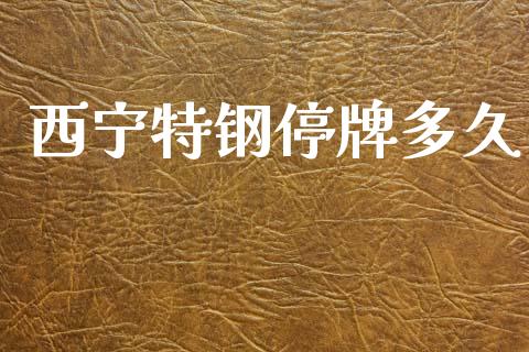 西宁特钢停牌多久_https://www.apanben.com_股市分析_第1张