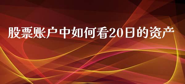 股票账户中如何看20日的资产_https://www.apanben.com_期货学院_第1张