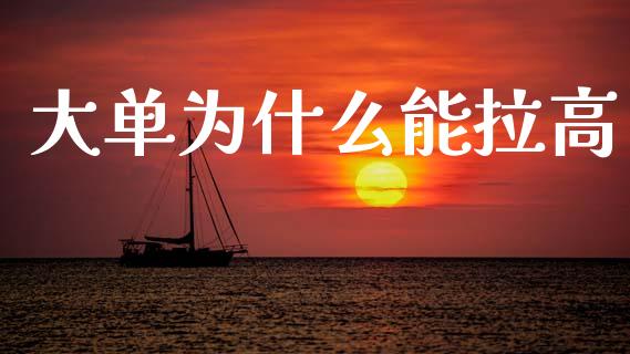 大单为什么能拉高_https://www.apanben.com_期货学院_第1张