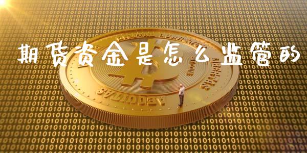 期货资金是怎么监管的_https://www.apanben.com_股市指导_第1张