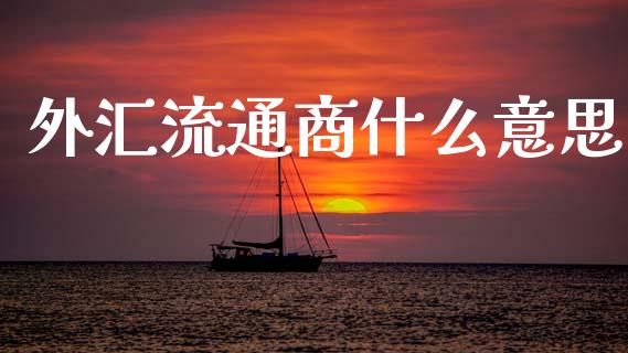 外汇流通商什么意思_https://www.apanben.com_股市指导_第1张