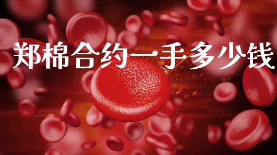 郑棉合约一手多少钱_https://www.apanben.com_股票怎么玩_第1张