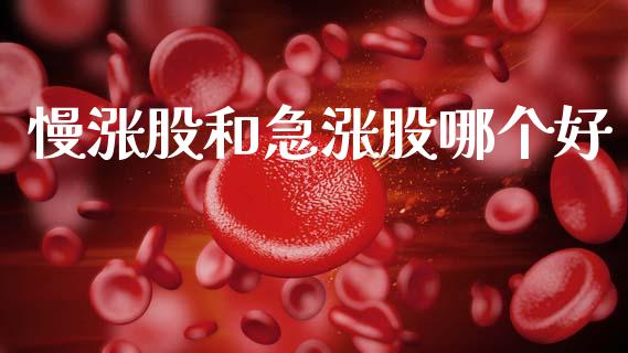 慢涨股和急涨股哪个好_https://www.apanben.com_股票怎么玩_第1张