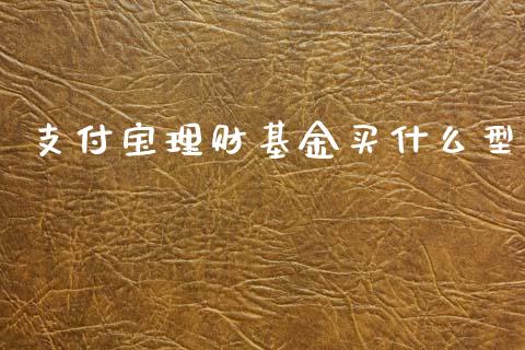支付宝理财基金买什么型_https://www.apanben.com_国际财经_第1张