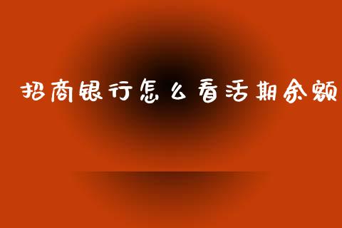 招商银行怎么看活期余额_https://www.apanben.com_国际期货_第1张