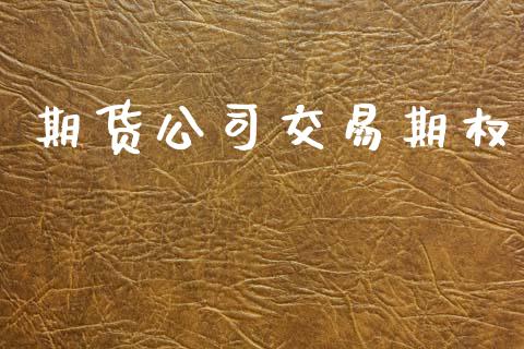 期货公司交易期权_https://www.apanben.com_财经资讯_第1张