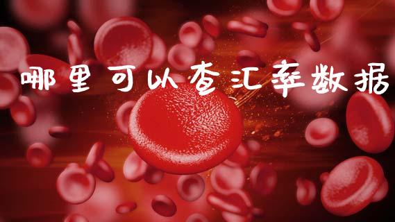 哪里可以查汇率数据_https://www.apanben.com_股市分析_第1张
