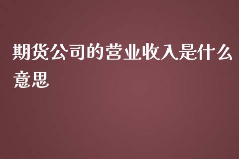 期货公司的营业收入是什么意思_https://www.apanben.com_期货学院_第1张