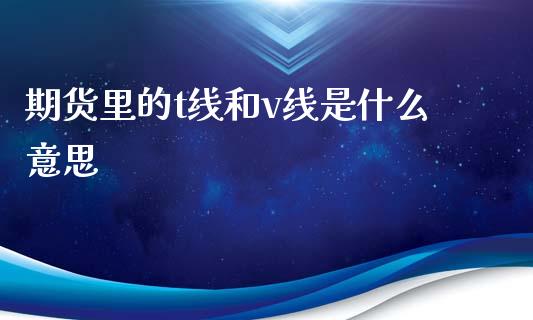 期货里的t线和v线是什么意思_https://www.apanben.com_股市分析_第1张