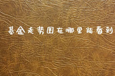 基金走势图在哪里能看到_https://www.apanben.com_国际财经_第1张