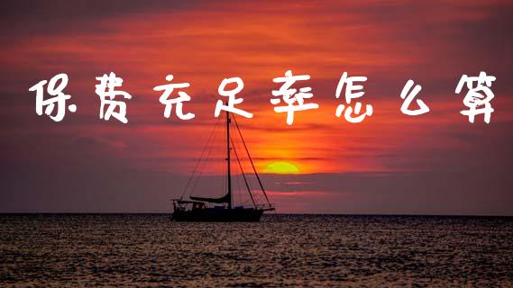 保费充足率怎么算_https://www.apanben.com_期货学院_第1张