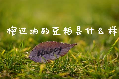 榨过油的豆粕是什么样_https://www.apanben.com_期货学院_第1张