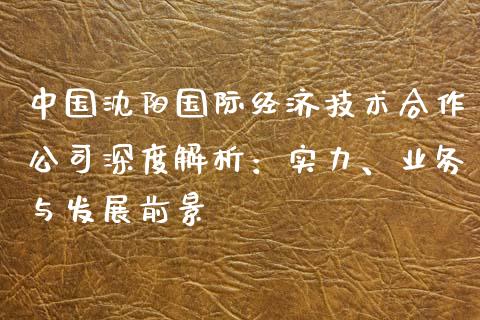中国沈阳国际经济技术合作公司深度解析：实力、业务与发展前景_https://www.apanben.com_股市指导_第1张